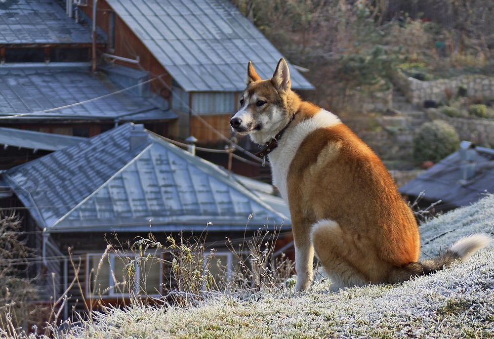 Фотография автора Панюшкин Владислав Владимирович