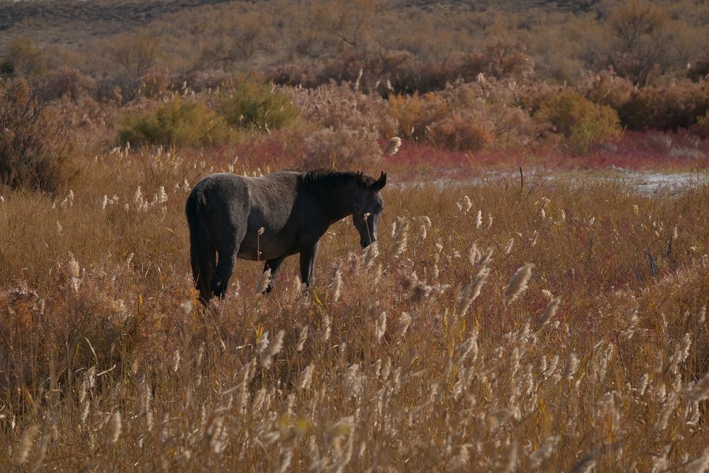 Фотография автора Наталья Яковлева