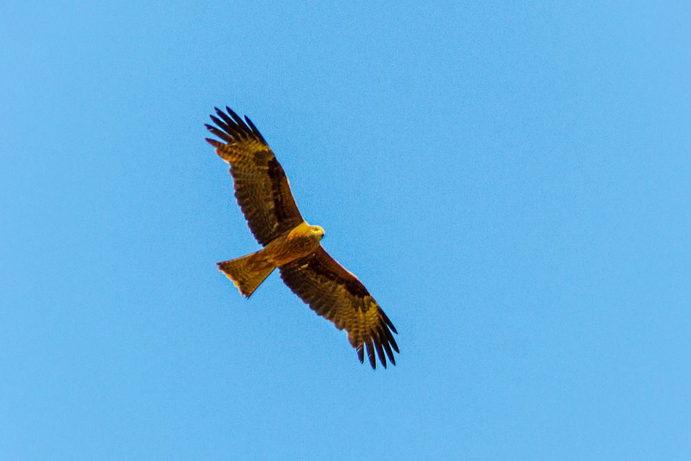 Photograph by Денис Кичев