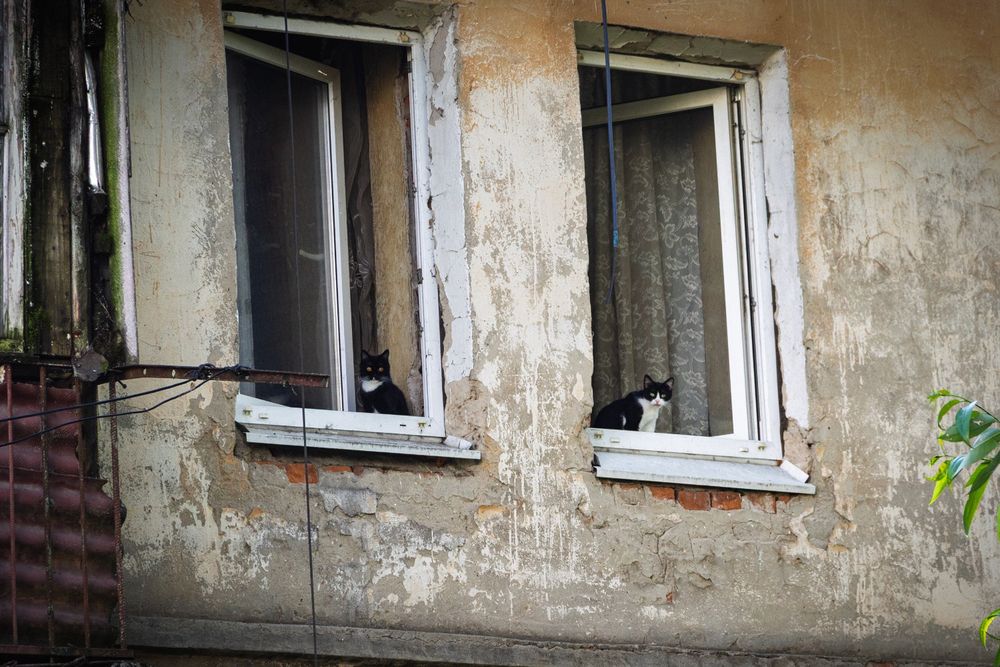 Photograph by Алексей Власов