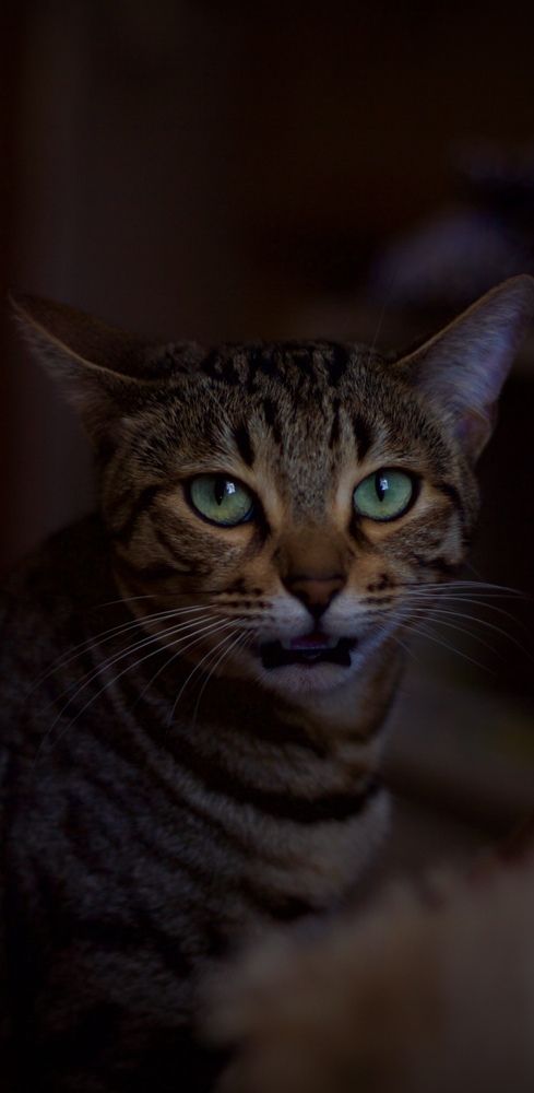 Фотография автора Сергей Борзов