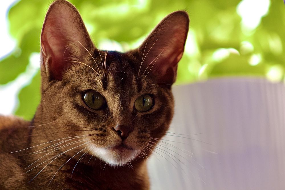 Фотография автора Сергей Борзов