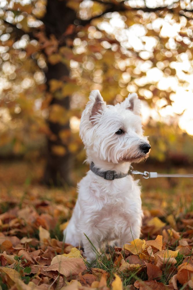 Photograph by Екатерина Ларсен