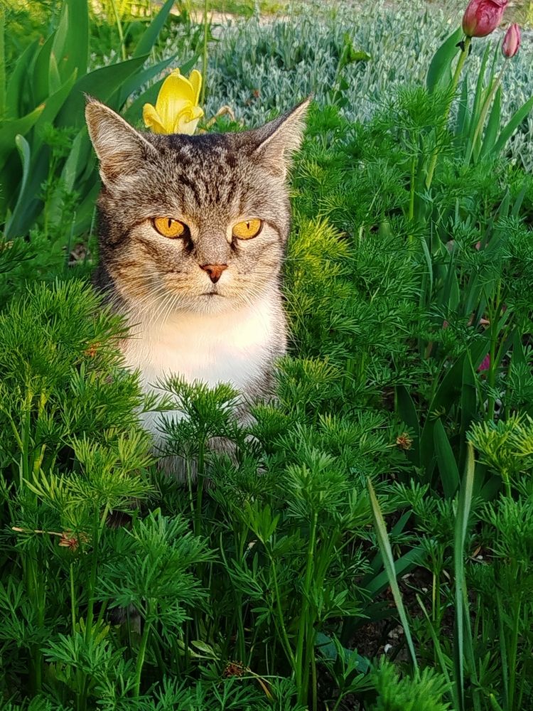 Photograph by Наталья Назаренко