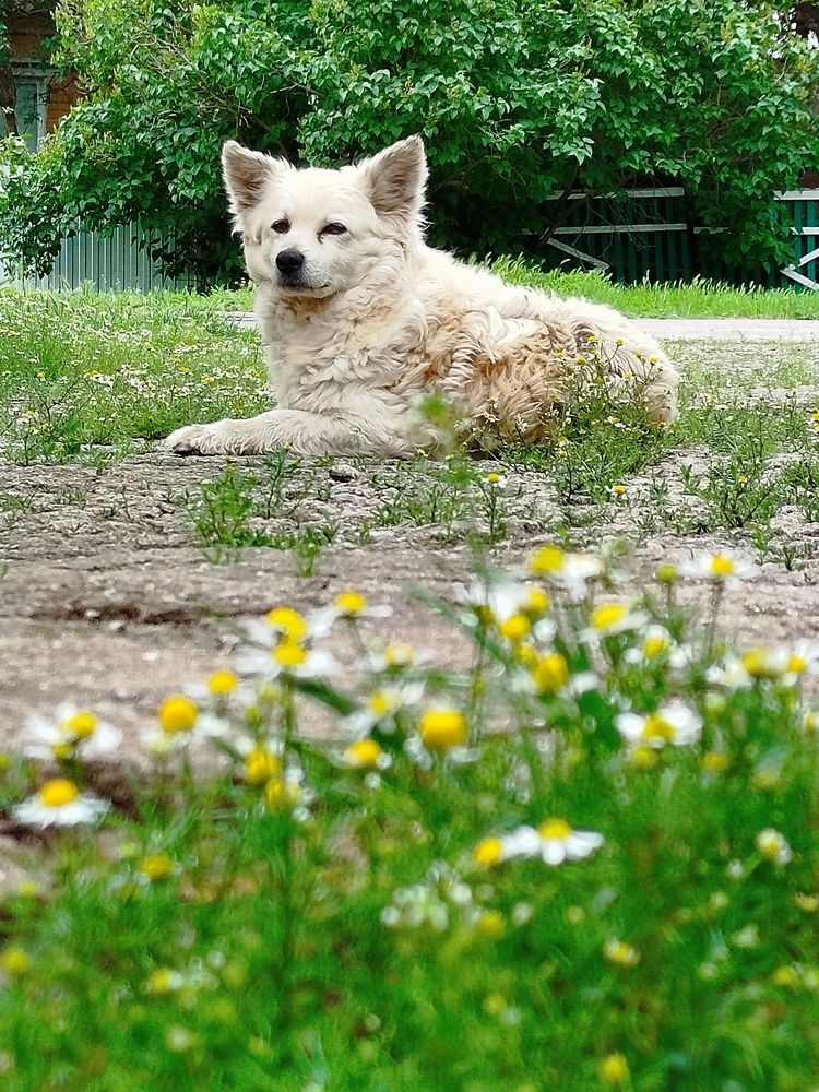 Photograph by Наталья Назаренко