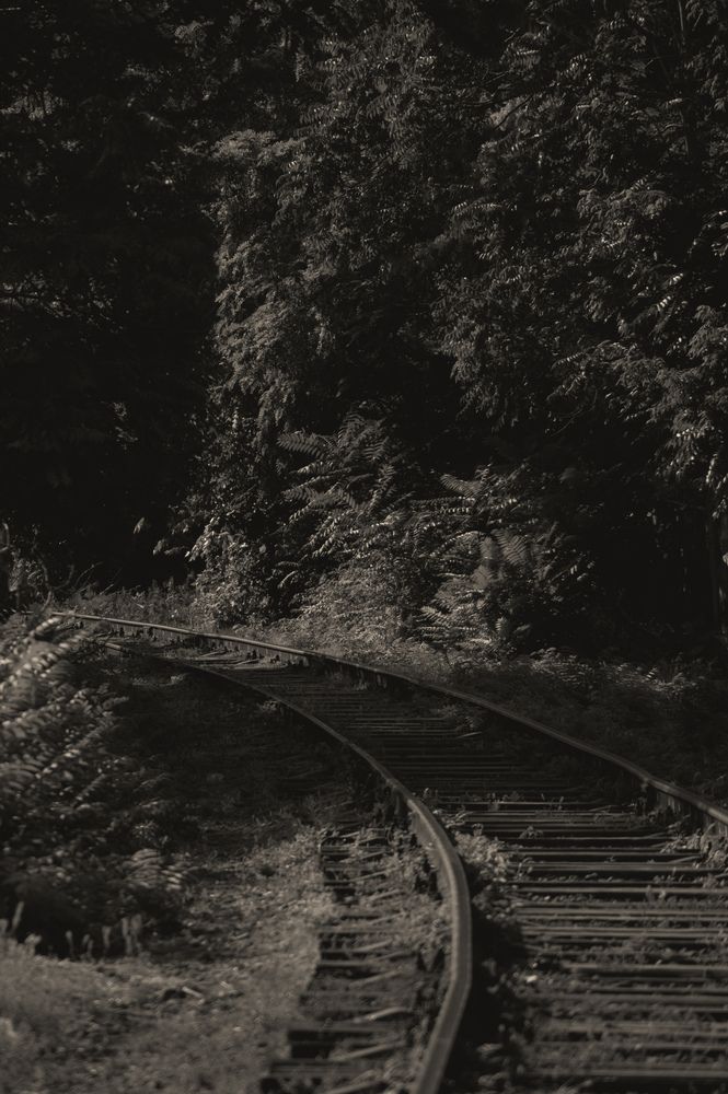 Photograph by Олег Гриценко