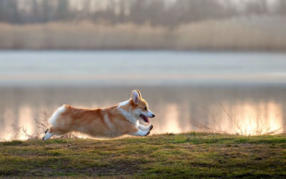 Photograph by Светлана Лукашкина