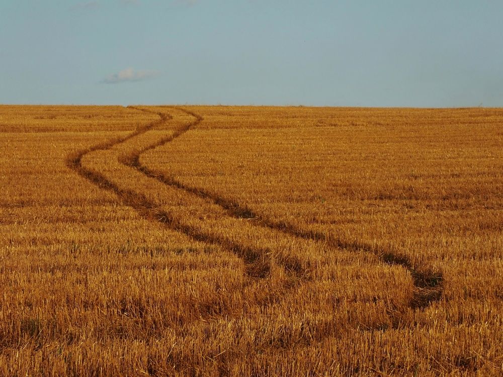 Фотография автора Андрей Шестаков