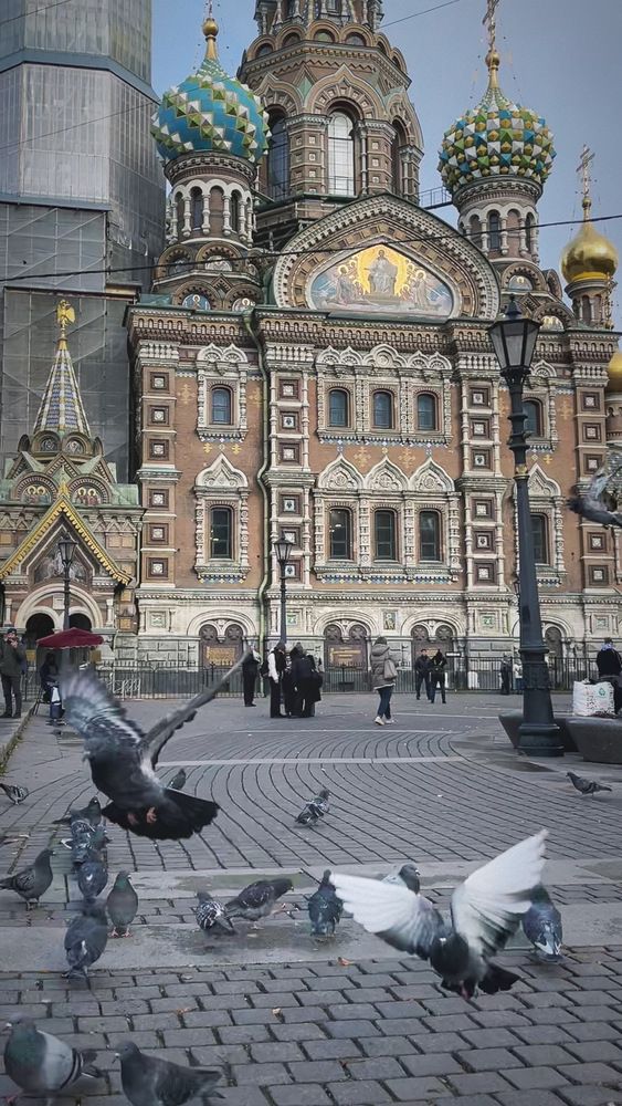 Photograph by Елена Киселева
