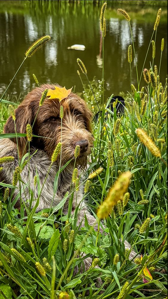 Photograph by Марина