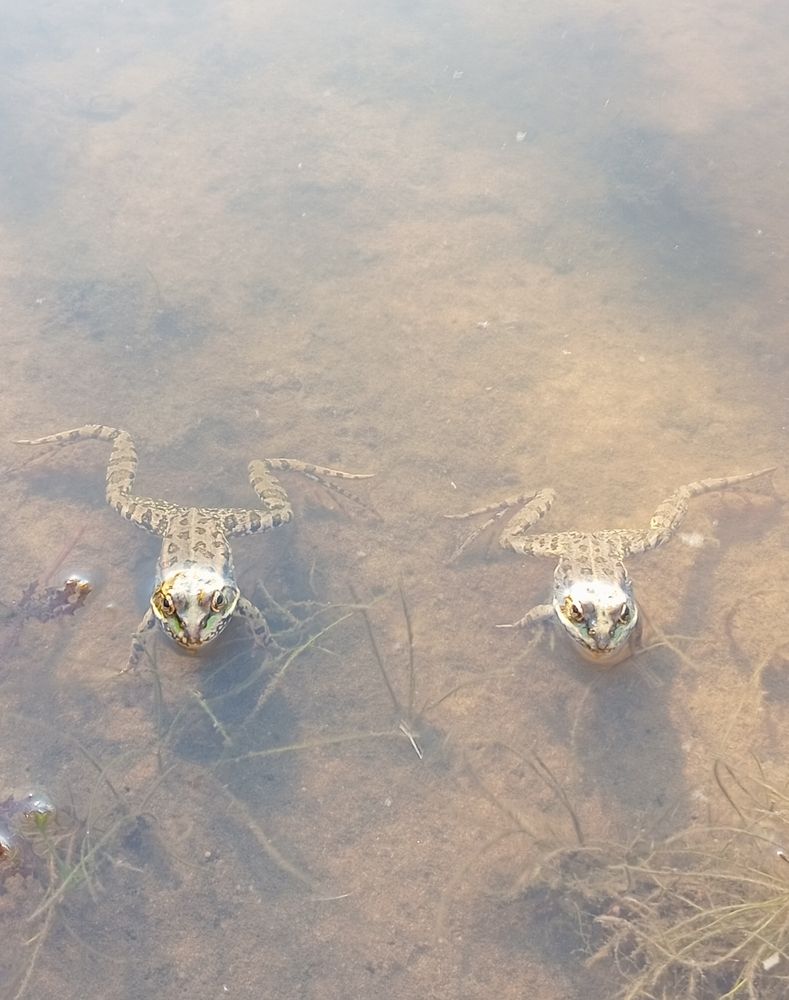 Photograph by Елена Коробченко