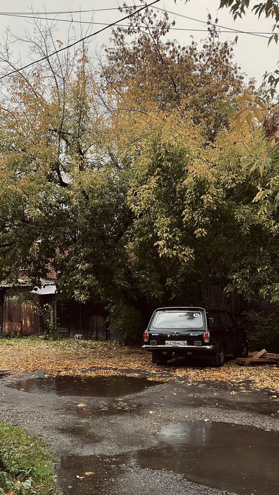 Autumn 2025