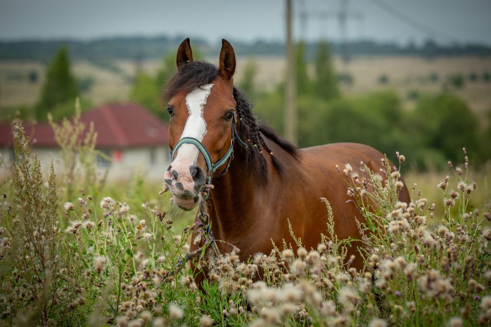 Photograph by Алексей