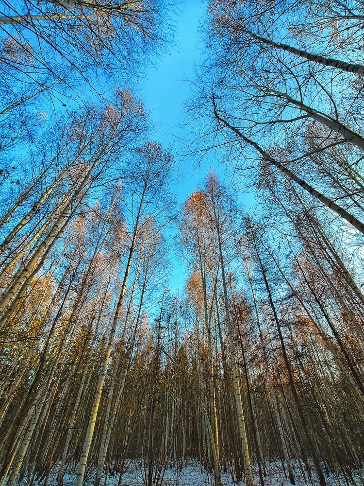 Photograph by Наталья Адалинская