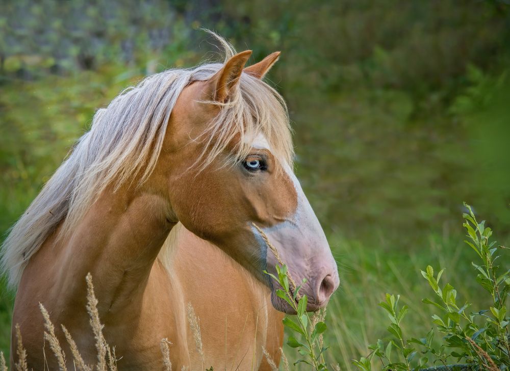 Photograph by Natalia Waurio