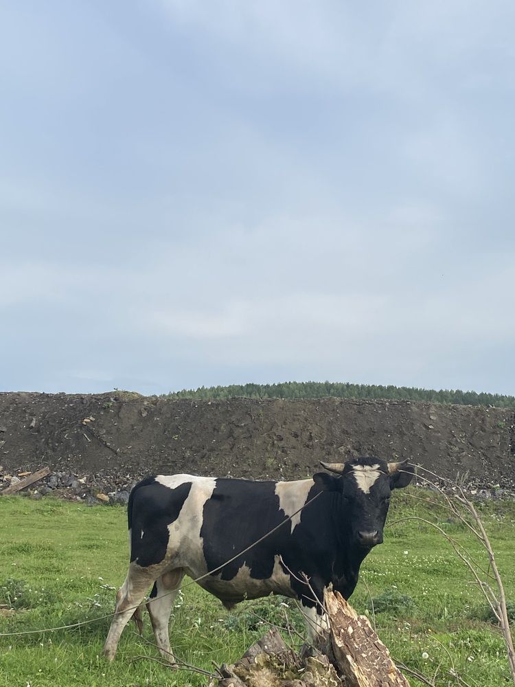 Photograph by Олеся Чистова