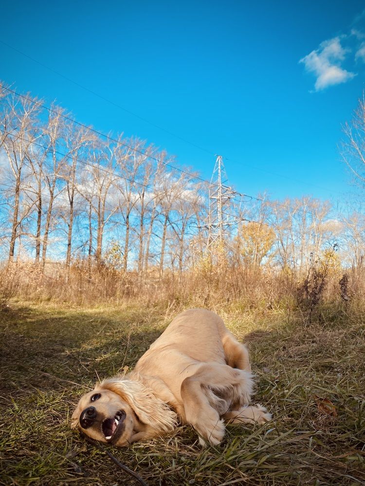 Photograph by Олеся Чистова