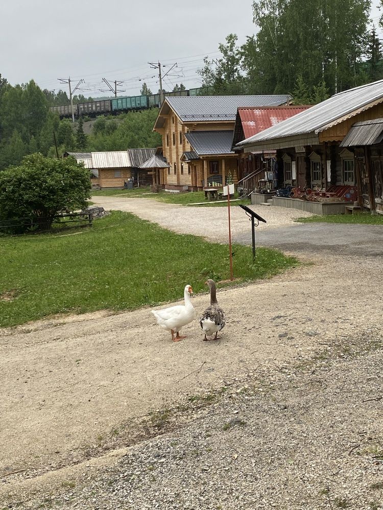 Photograph by Олеся Чистова