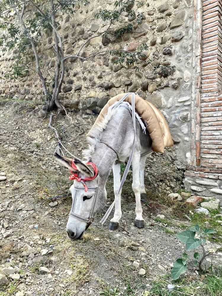 Photograph by Валентина Колесова