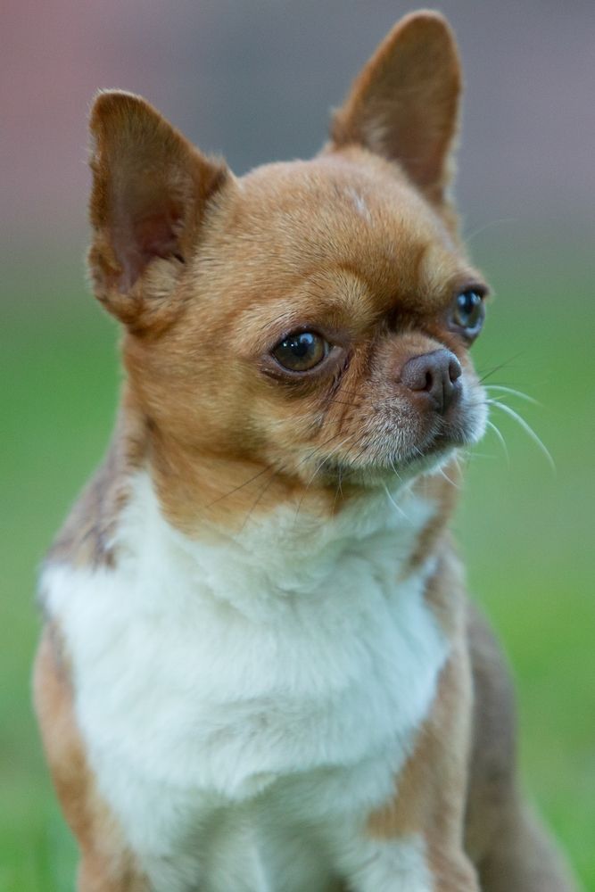 Photograph by Алексей