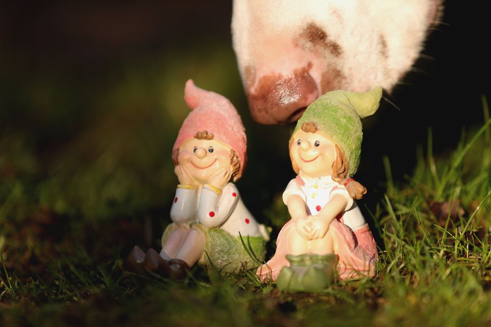 Фотография автора Tatiana Zharkova