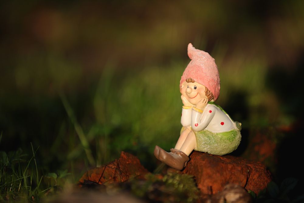 Фотография автора Tatiana Zharkova