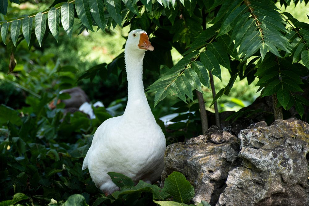 Photograph by Anastasia