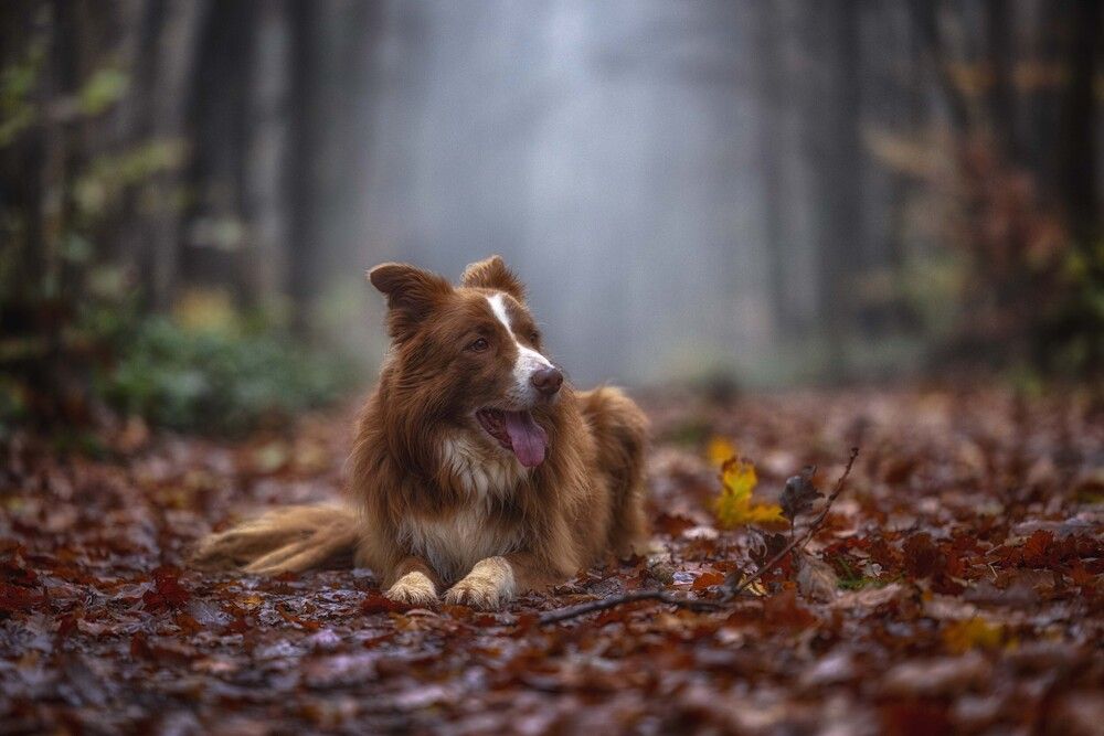 Photograph by Guy Krier