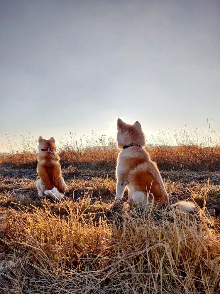 Photograph by Наталья Корнеева