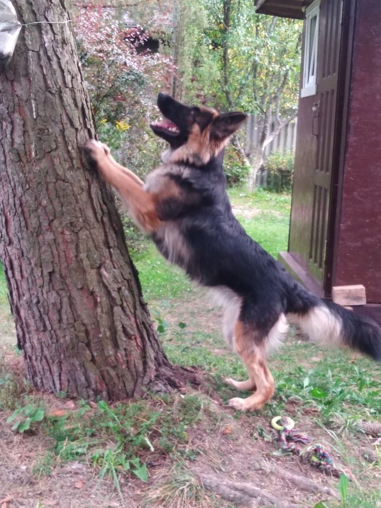 Photograph by ЕКАТЕРИНА БУЛАНОВА