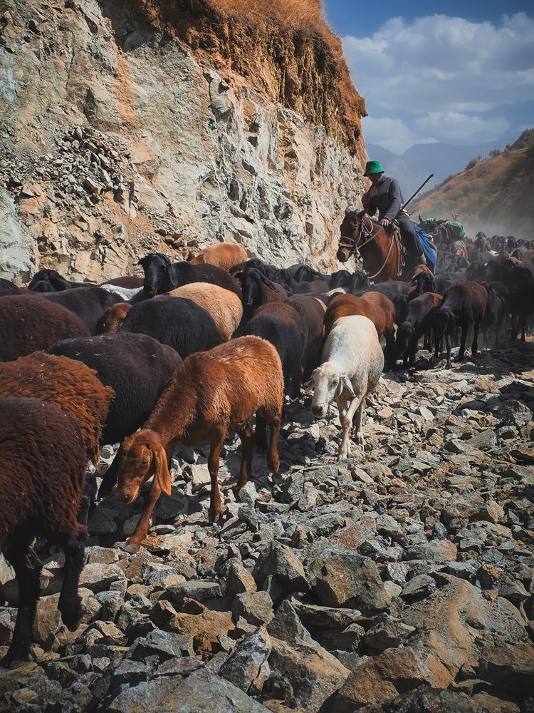 Photograph by Evgeny Pochaev