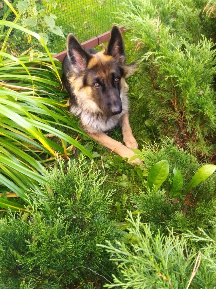 Photograph by ЕКАТЕРИНА БУЛАНОВА