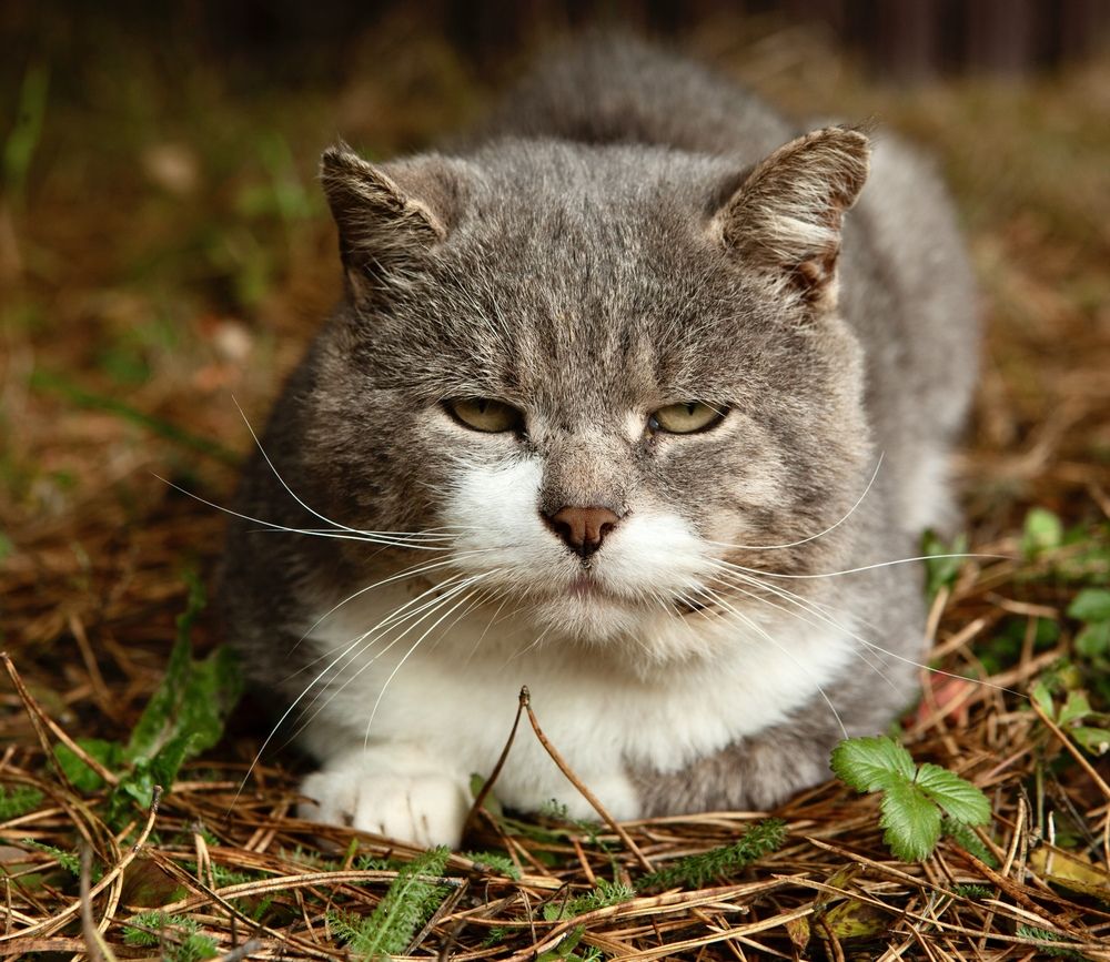 Фотография автора Galina Sa