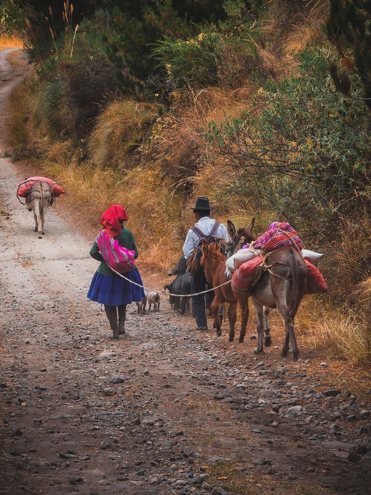 Photograph by Evgeny Pochaev