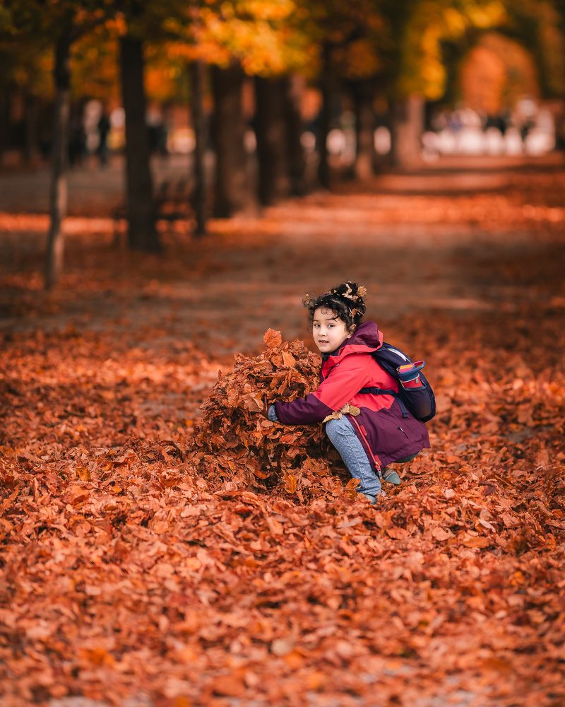 Фотография автора Ankit Gupta