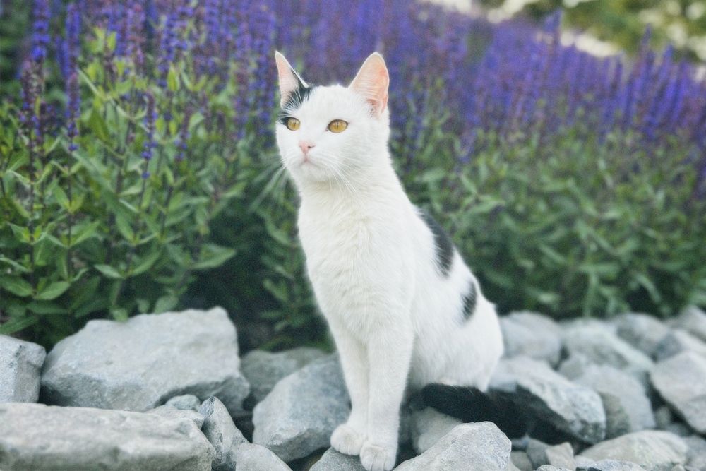 Photograph by Elvira