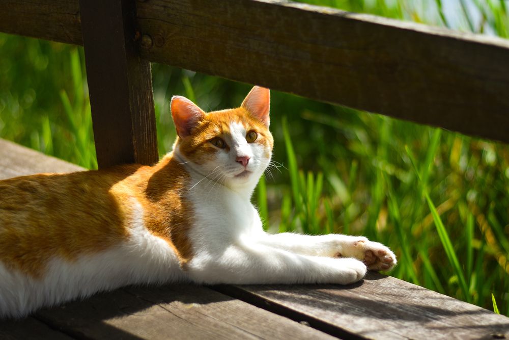 Photograph by Elvira