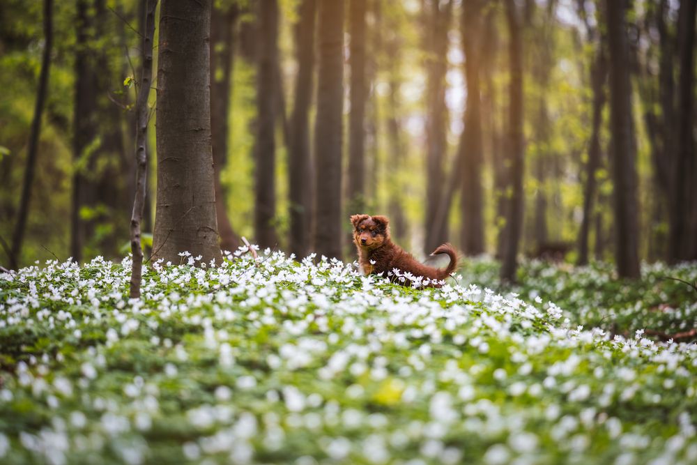 Фотография автора Karolina Olejnik