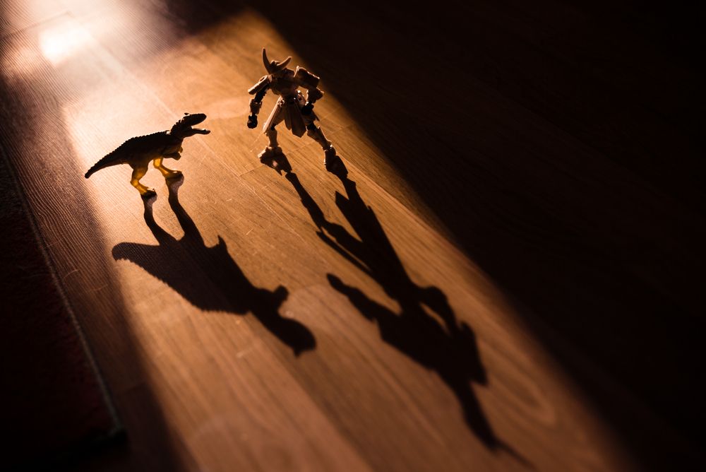 Photograph by  Kotik photo