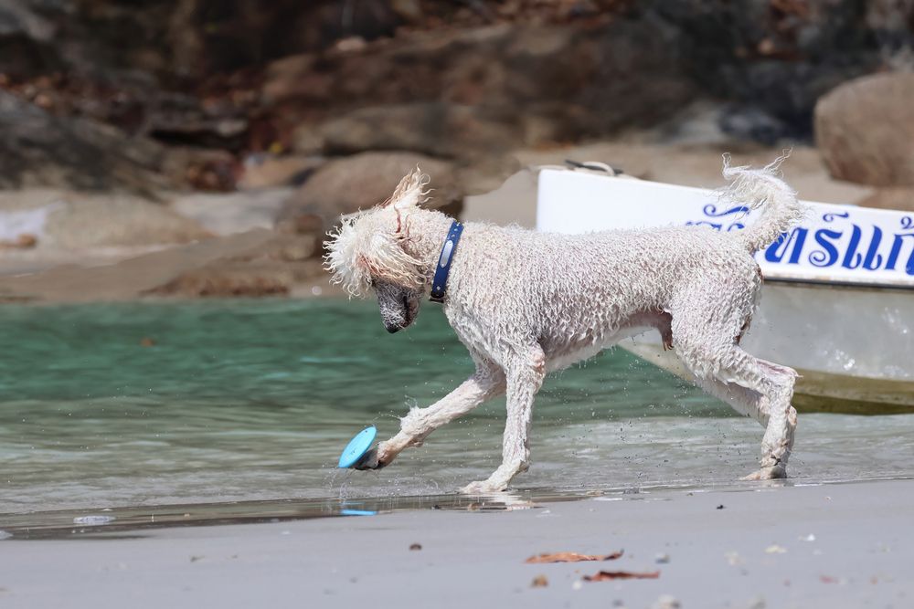 Photograph by Natalia Waurio