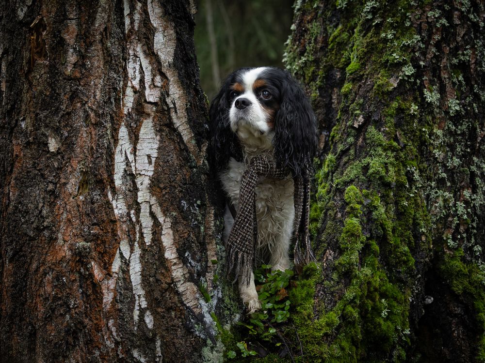 Photograph by Галина Павлова