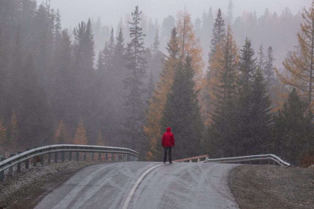 Фотография автора Гарус Виктория