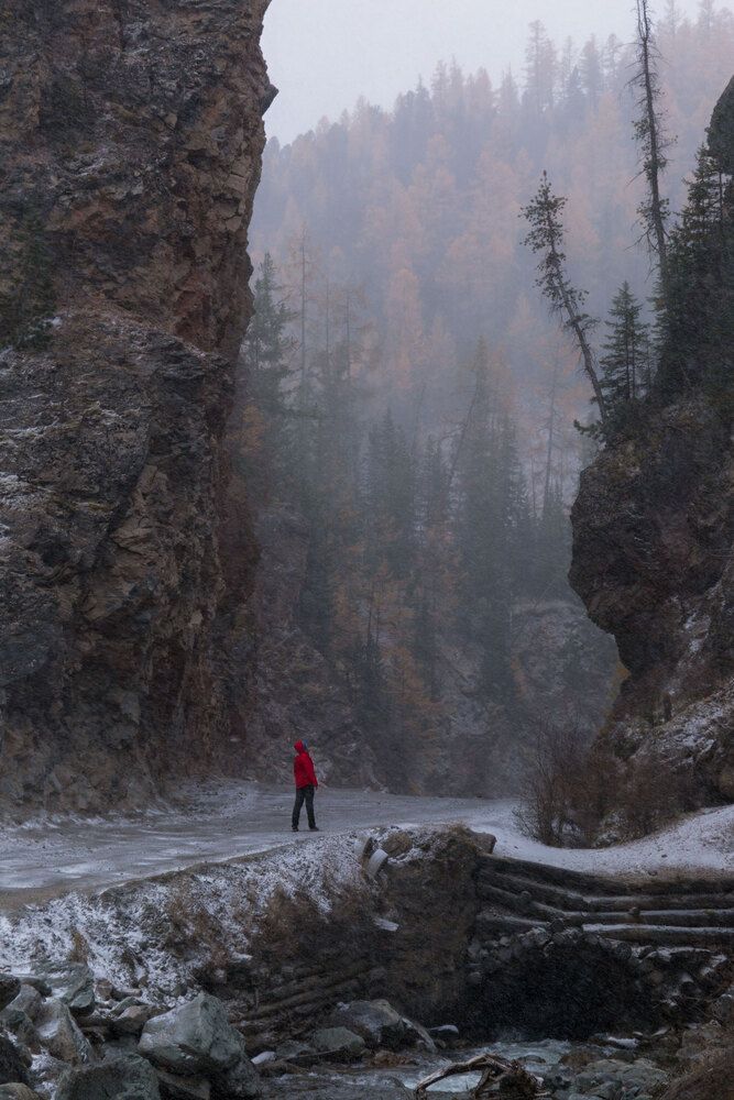 Фотография автора Гарус Виктория