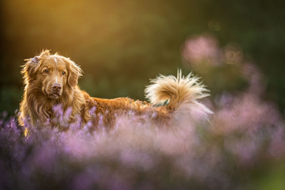 Фотография автора Karolina Olejnik