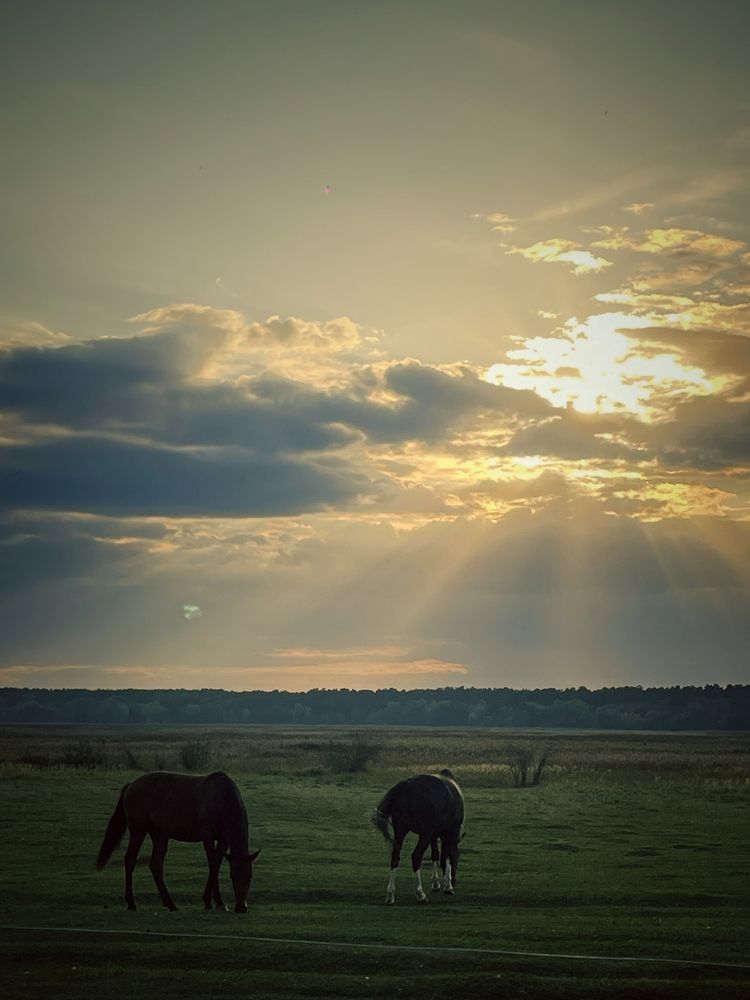 Photograph by Nadya Sterligova