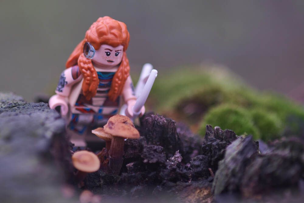 Photograph by Дмитрий Солодухин