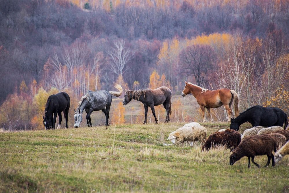 Photograph by Елена