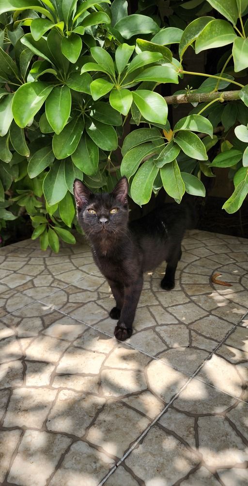 Photograph by Mina Mamdouhi