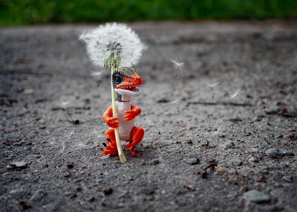 Фотография автора Е лена Е