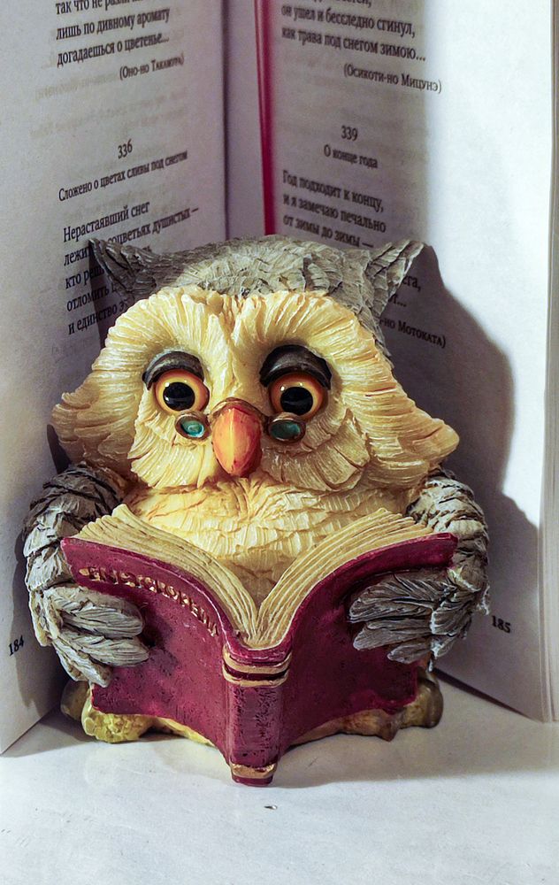 Photograph by Сергей Христинич